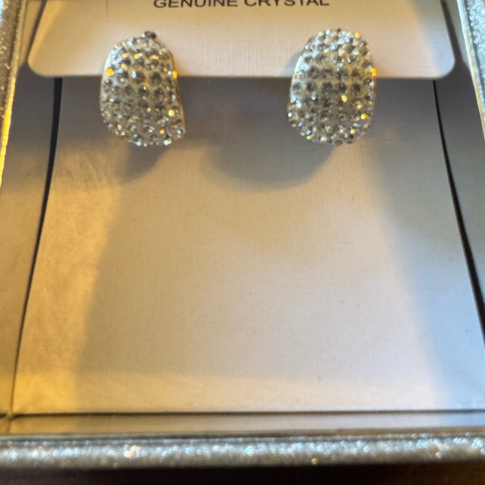 Elegant Silver Crystal Earrings